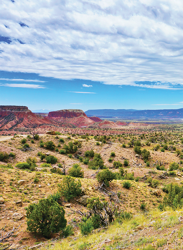 Colorful New Mexico desert landscape